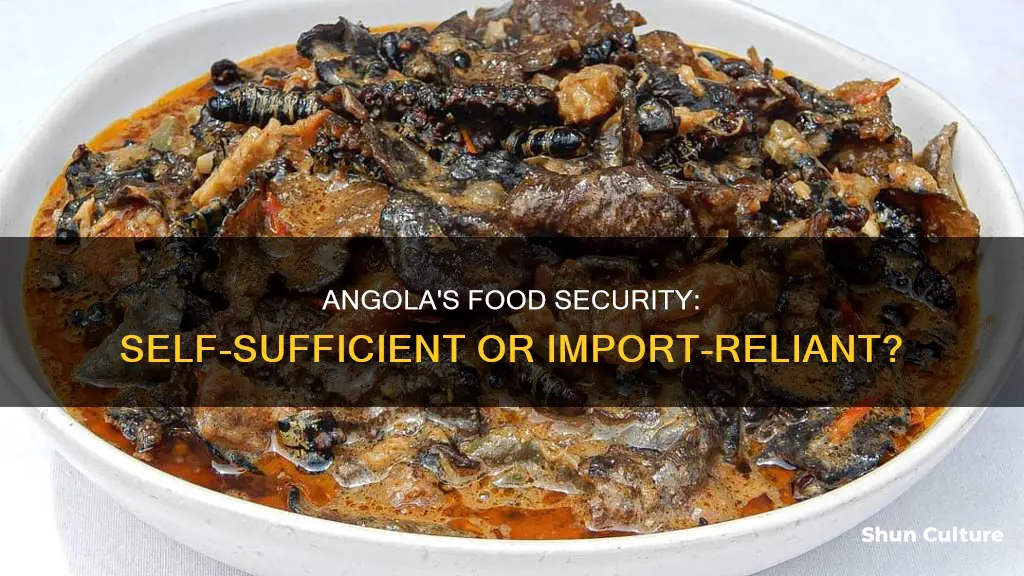 does angola grow enough food to feed its own people