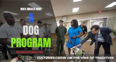 Angola's Dog Program: What's the Deal?