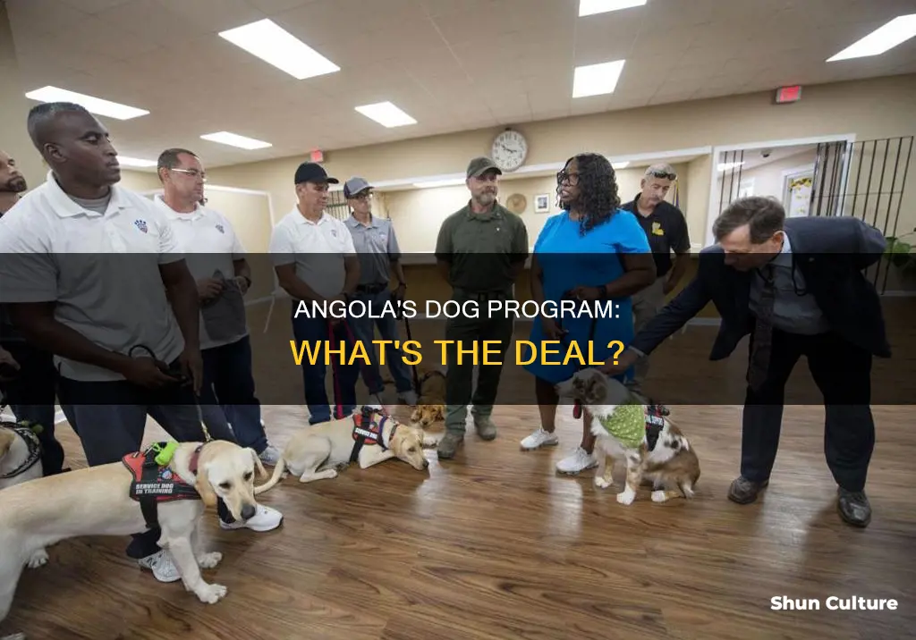 does angola have a dog program