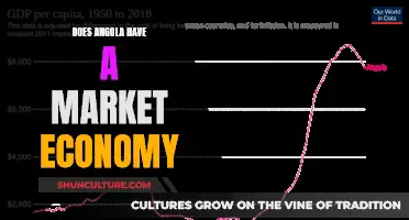 Angola's Economy: Market Forces or Government Control?