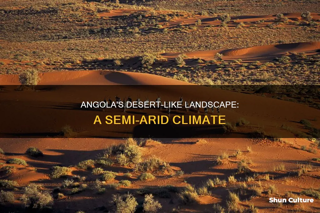 does angola have a semi desert