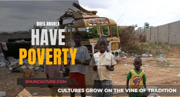 Angola's Poverty: A Complex Reality