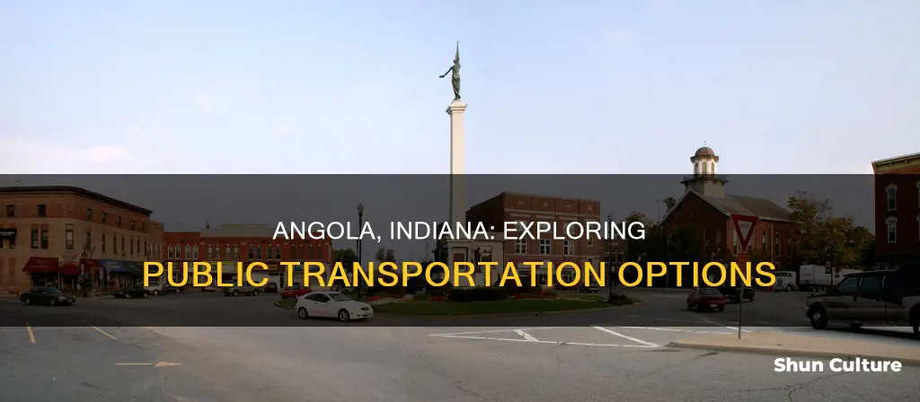 does angola indiana have public transit