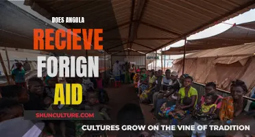 Foreign Aid in Angola: Who's Helping?