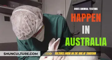 Animal Testing in Australia: What's the Truth?