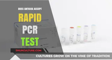 Antigua's COVID-19 Entry Rules: Rapid PCR Test Acceptance Explained