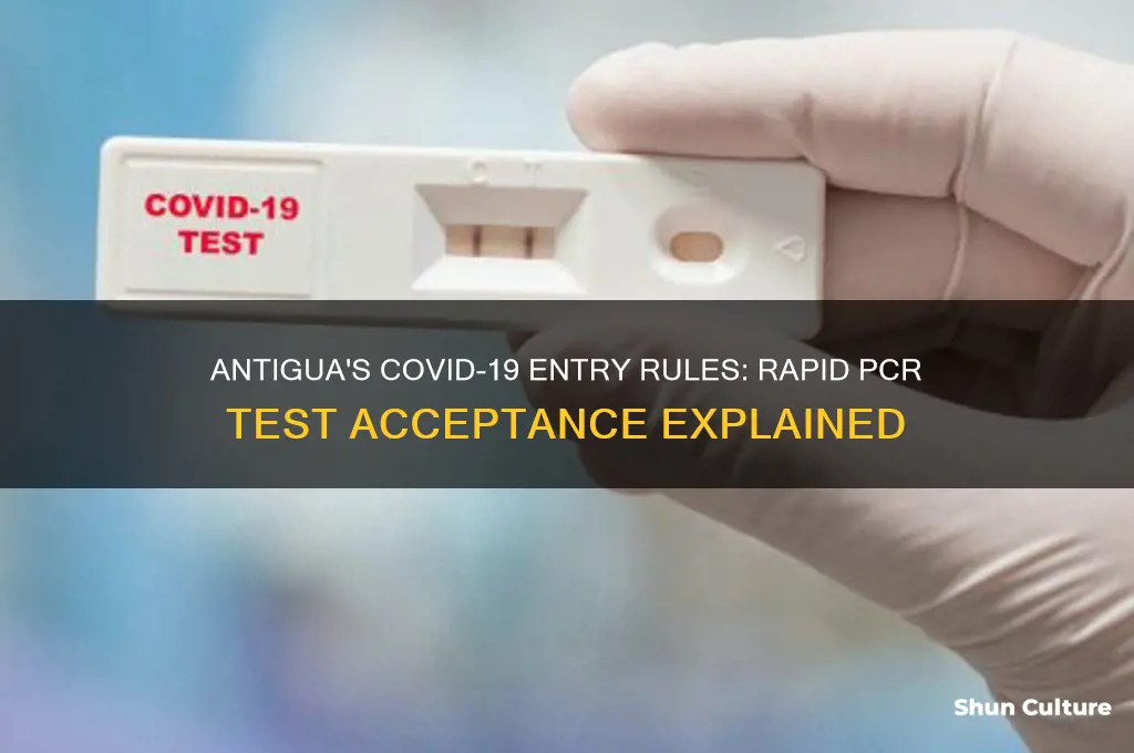 does antigua accept rapid pcr test