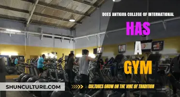 Antigua College of International: Gym Facilities and Fitness Options Explored