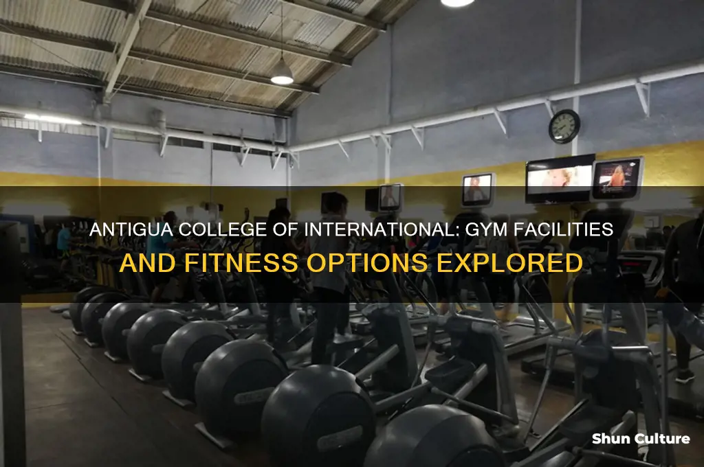 does antigua college of international has a gym