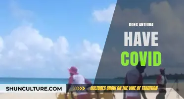 Antigua's COVID-19 Status: Current Travel Guidelines and Safety Measures