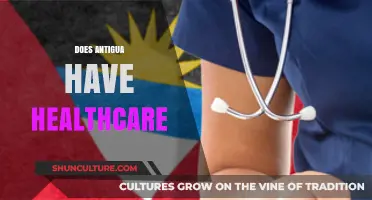 Exploring Antigua's Healthcare System: Access, Quality, and Services Available