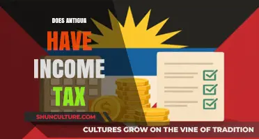 Exploring Antigua's Tax System: Does Income Tax Apply to Residents?