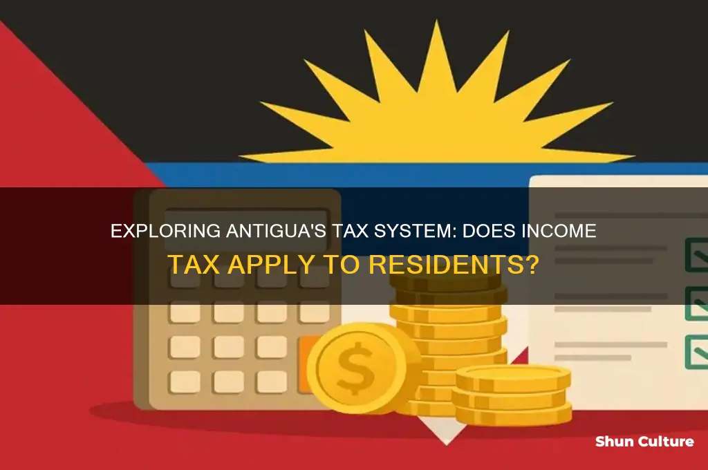 does antigua have income tax