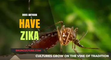 Antigua and Zika: Understanding the Risks and Precautions for Travelers