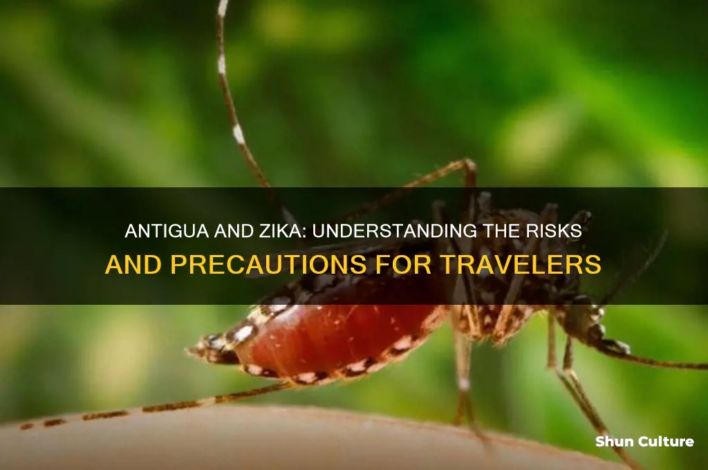 does antigua have zika