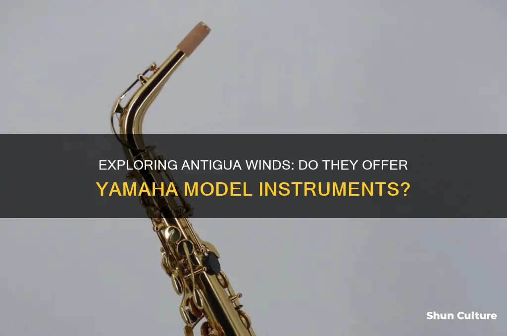 does antigua winds have a yamaha model