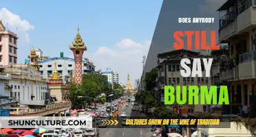 Exploring the Evolution of Language: Is 'Burma' Still in Use?