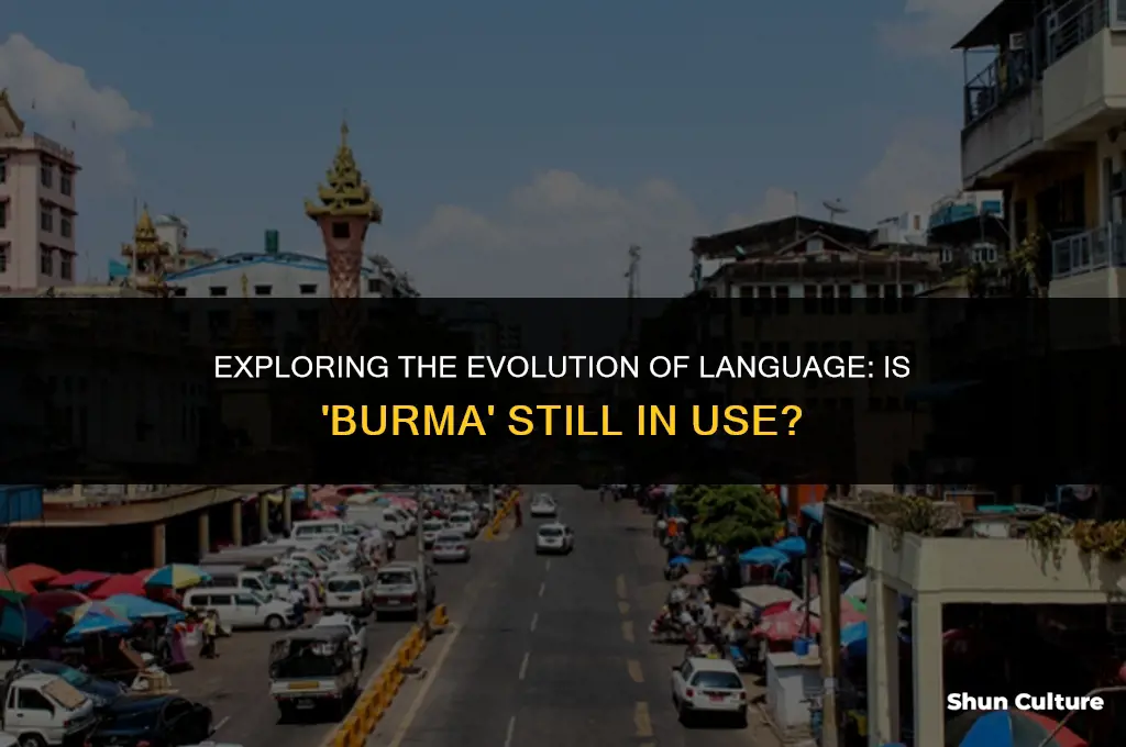 does anybody still say burma
