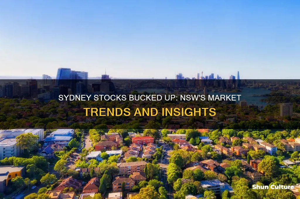 does anyone in australia nsw sydney stocks bucked up