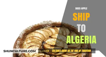 Does Apple Deliver to Algeria? Shipping Options and Availability Explained