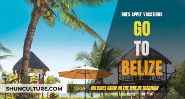 Apple Vacations: Belize's Top Travel Companion