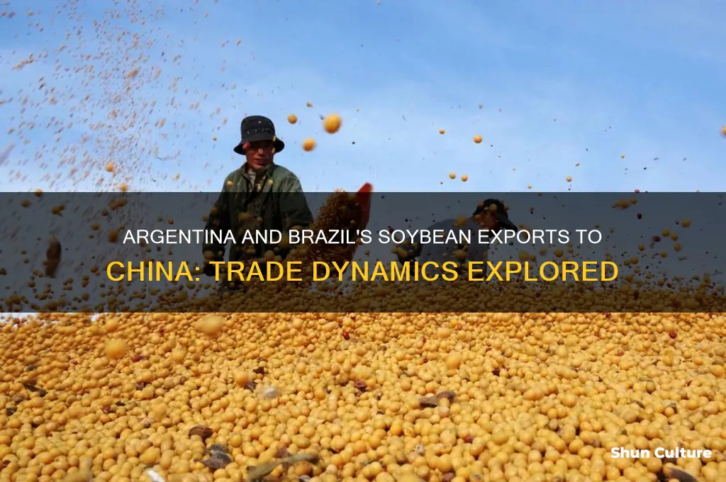 does argentina and brazil send soybeans to china