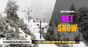 Winter Wonders: Does Argentina Get Snow?
