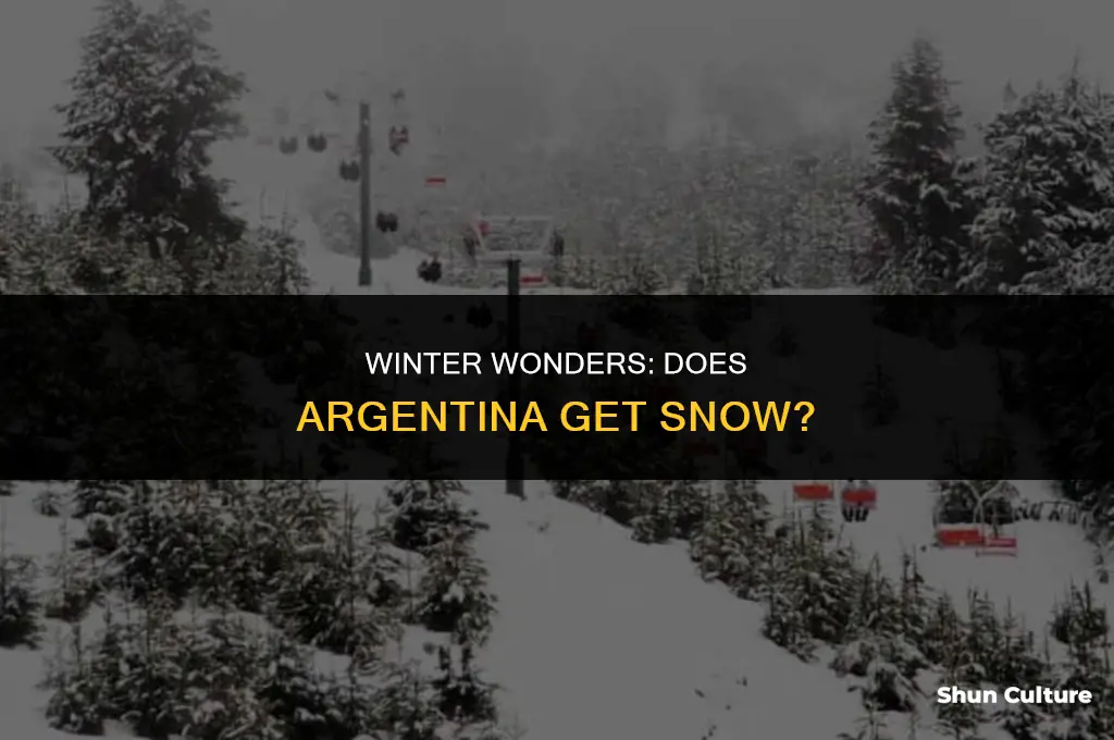 does argentina get snow
