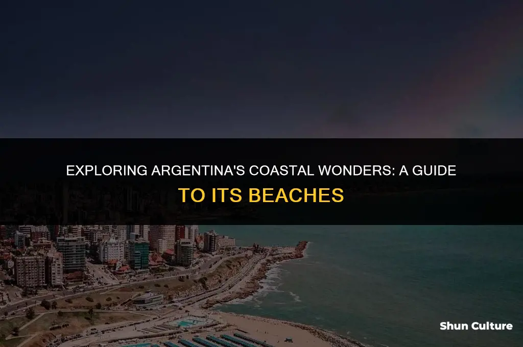 does argentina have beaches