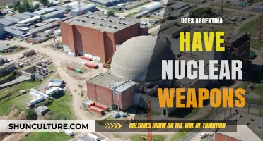 Exploring Argentina's Nuclear Capabilities: A Comprehensive Overview