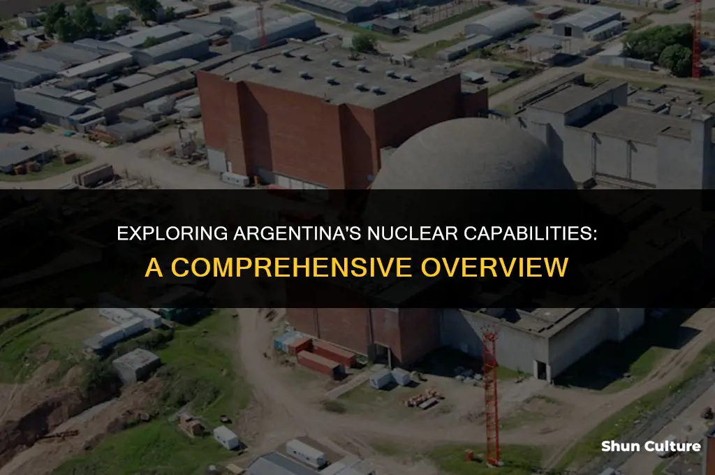 does argentina have nuclear weapons