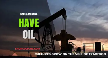 Exploring Argentina's Oil Reserves: A Comprehensive Overview