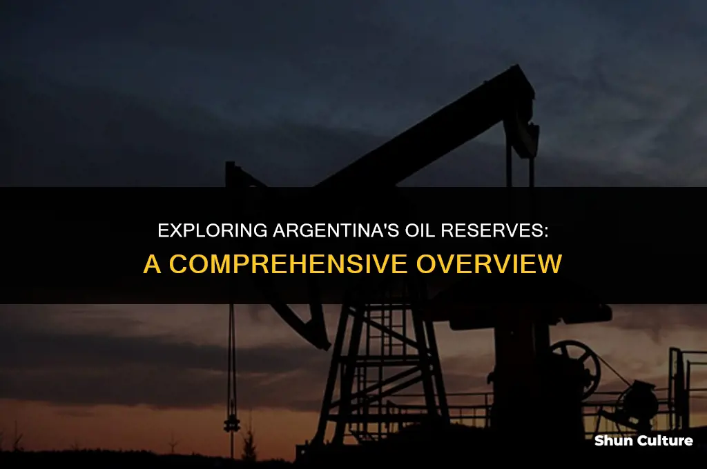 does argentina have oil