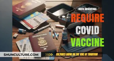 Traveling to Argentina: COVID-19 Vaccine Requirements Unveiled