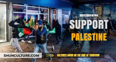 Argentina's Stance on Palestine: A Comprehensive Analysis