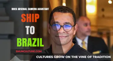 Does Arsenal Camera Assistant Offer Shipping to Brazil?