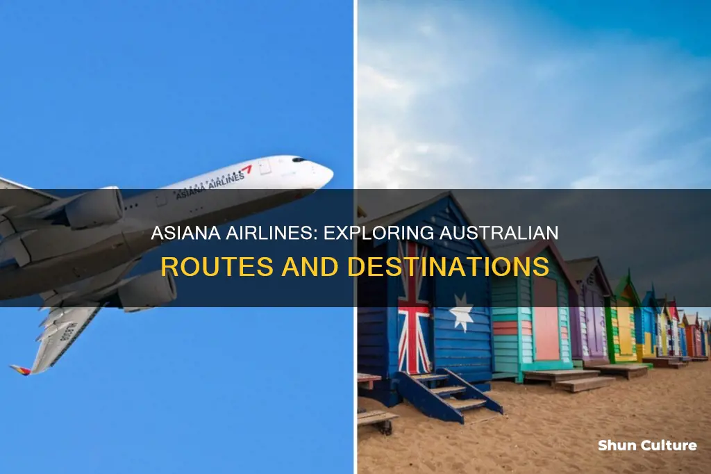 does asiana airlines fly to australia