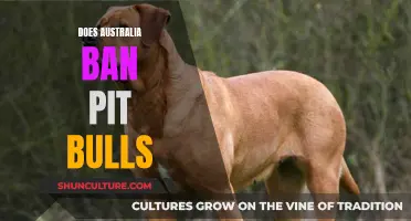 Australia's Pit Bull Ban: Is It Fair?