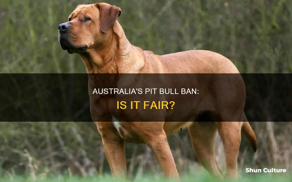 does australia ban pit bulls