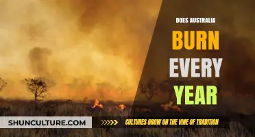 Australia's Annual Inferno: Understanding the Recurring Bushfire Crisis