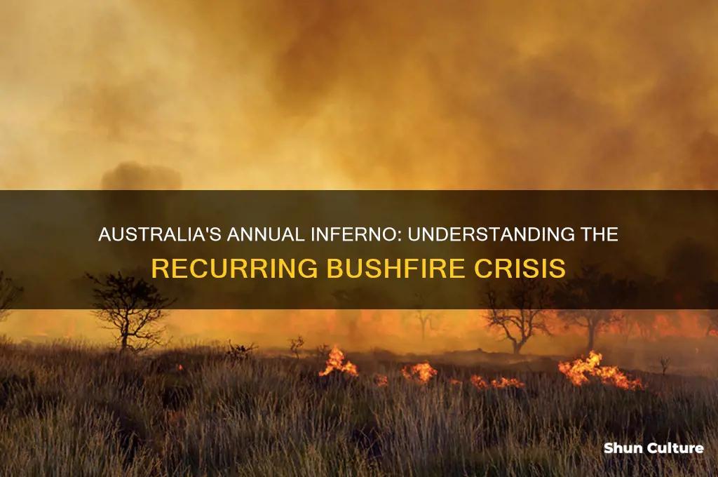 does australia burn every year