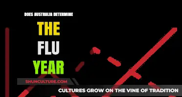 Does Australia's Flu Season Predict Global Influenza Trends?