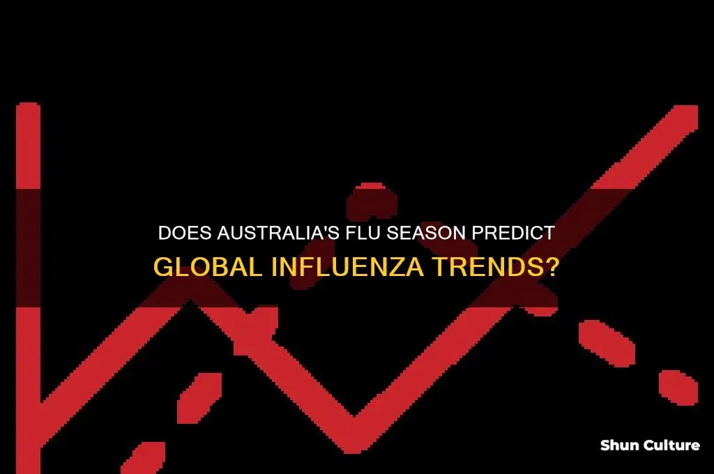 does australia determine the flu year