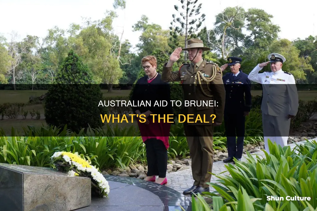 does australia give aid to brunei