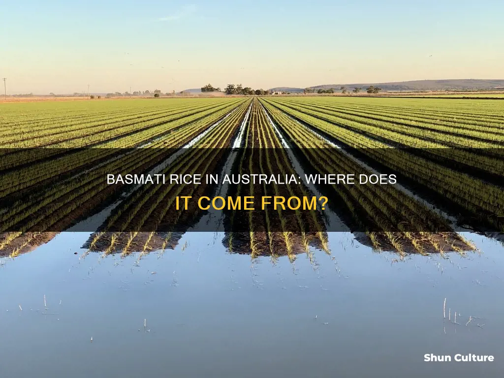 does australia grow basmati rice