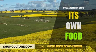 Australia's Food Security: Self-Sufficient or Import-Reliant?