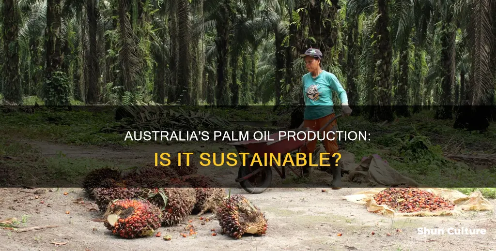 does australia grow palm oil trees