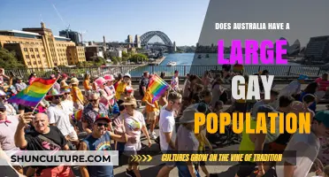 Exploring Australia's Diverse Gay Community