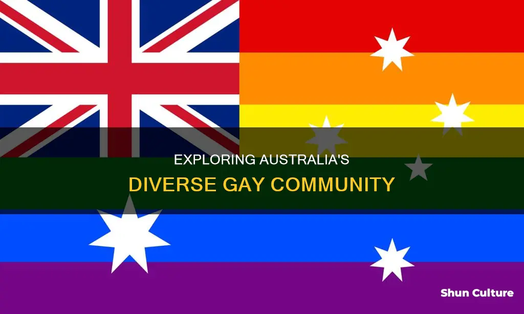 does australia have a large gay population