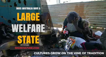 Australia's Welfare State: Large or Lean?